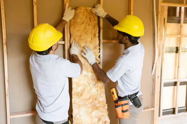 Best Insulation Repair Services  in Northfield, KY