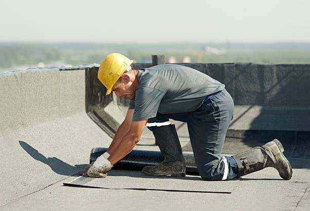 Best Commercial Insulation Contractor  in Northfield, KY
