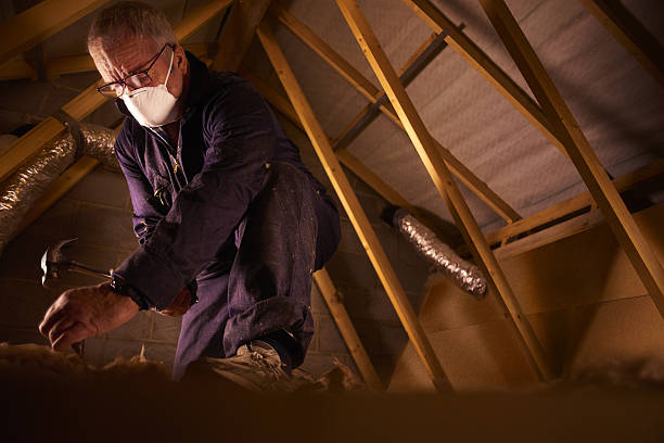 Best Insulation Repair Services  in Northfield, KY